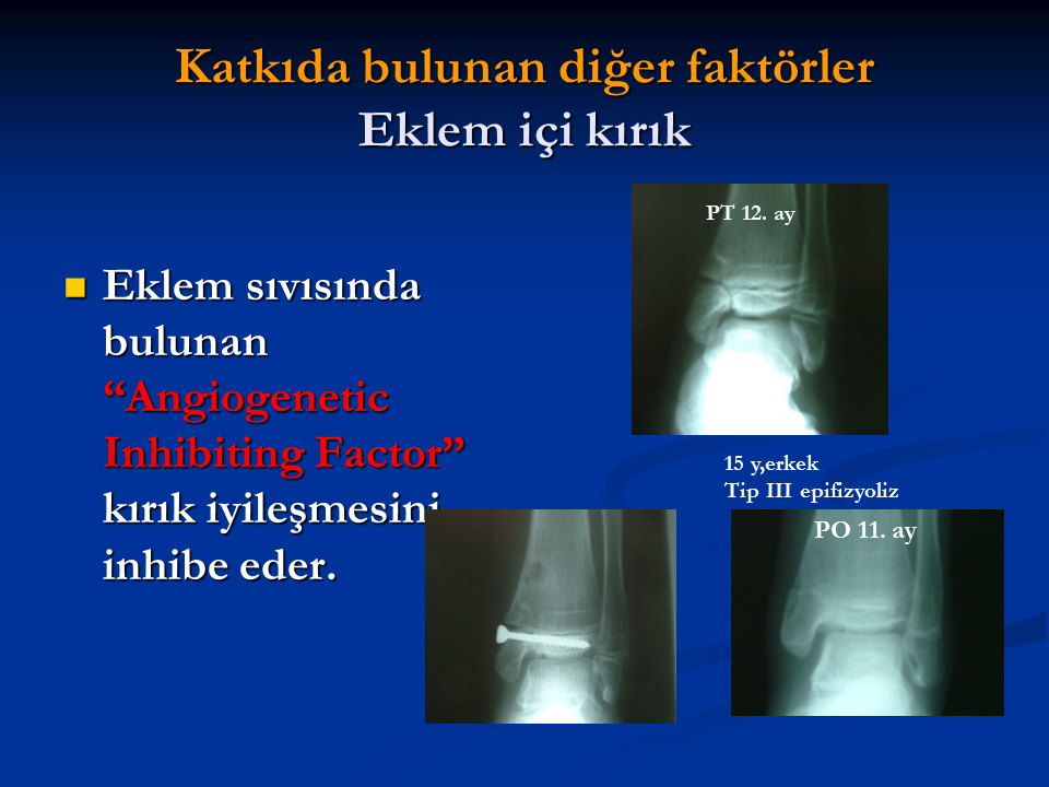 Huseyin Arslan  (1)